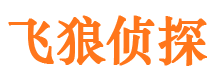 理塘外遇调查取证